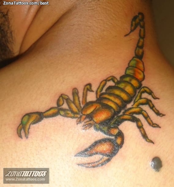 Tattoo photo Scorpions, Insects, Neck