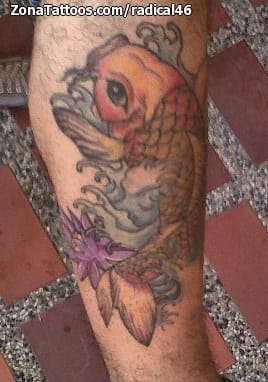 Foto de tatuaje Koi, Peces, Animales