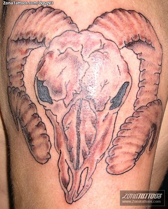 Tattoo photo Rams, Skeletons, Animals