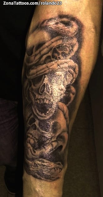 Tattoo photo Skulls, Snakes, Skulls