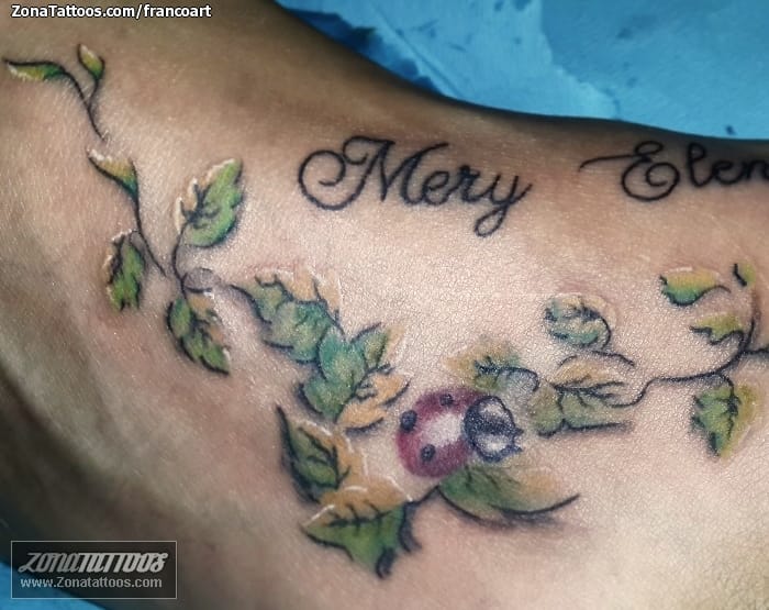 Tattoo photo Vines, Ladybugs, Insects