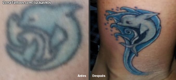 Foto de tatuaje Delfines, Animales, Cover Up