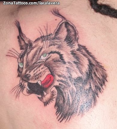 Foto de tatuaje Animales