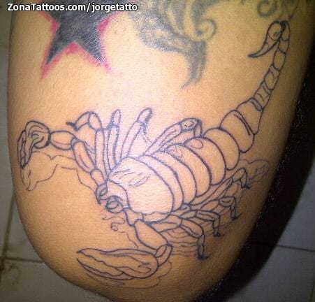 Tattoo photo Scorpions, Insects