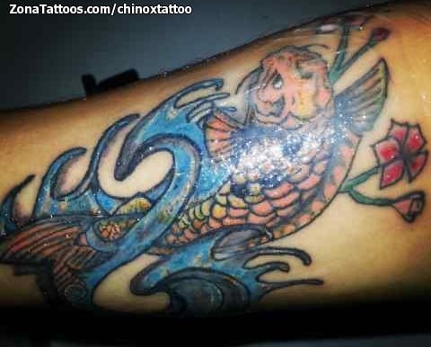 Tattoo photo Asian, Fish, Koi