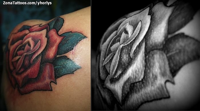 Tattoo photo Roses, Flowers