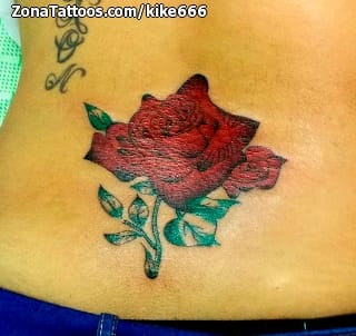 Tattoo photo Roses, Flowers