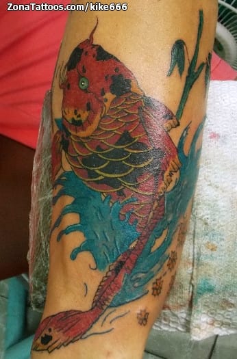 Foto de tatuaje Koi, Peces, Animales