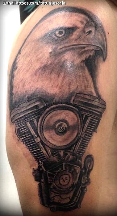 Tattoo photo Eagles, Engines, Birds