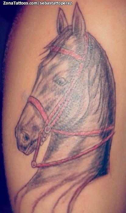 Foto de tatuaje Caballos, Animales, Cover Up