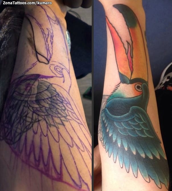 Foto de tatuaje Cover Up, Aves, Animales