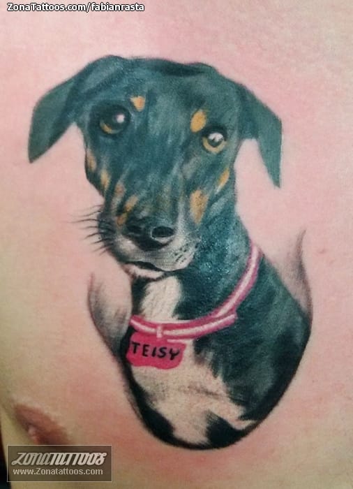 Foto de tatuaje Perros, Animales, Pecho