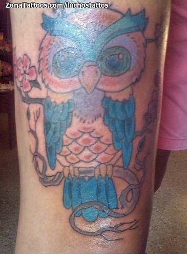 Tattoo photo Owls, Birds, Animals