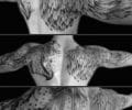 Tatuaje de Povetattoo
