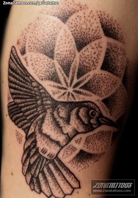 Foto de tatuaje Colibríes, Aves, Animales