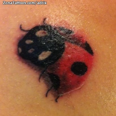 Tattoo photo Ladybugs, Insects