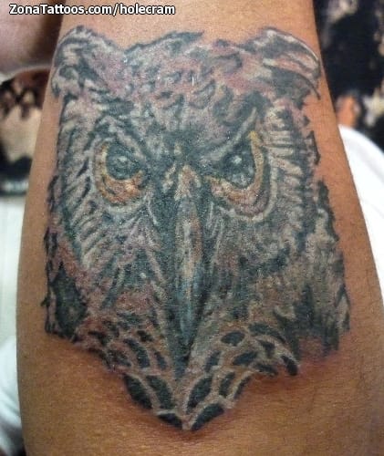 Tattoo photo Owls, Birds, Animals