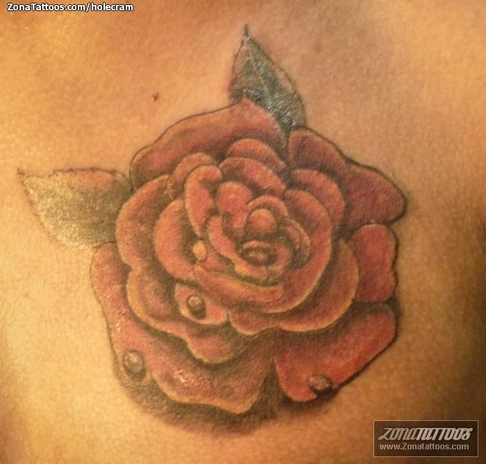 Tattoo photo Roses, Flowers, Chest