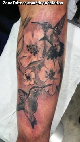 Tattoo photo Humming bird, Flowers, Birds