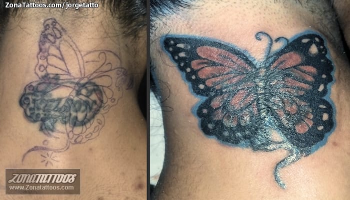 Tattoo photo Cover Up, Butterflies, Insects