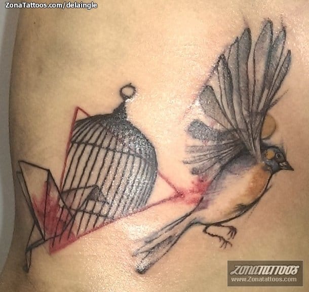 Foto de tatuaje Aves, Jaulas, Animales