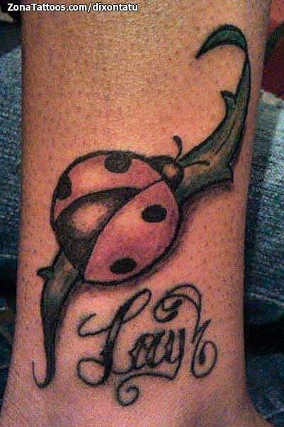 Tattoo photo Ladybugs, Insects, Leaves