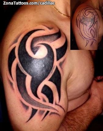Tattoo photo Tribal, Cover Up, Shoulder