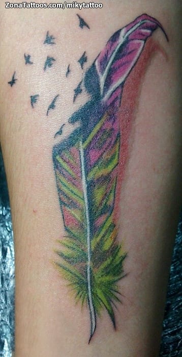 Foto de tatuaje Plumas, Aves