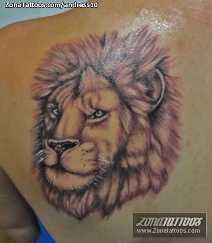 Foto de tatuaje Leones, Animales, Omóplato