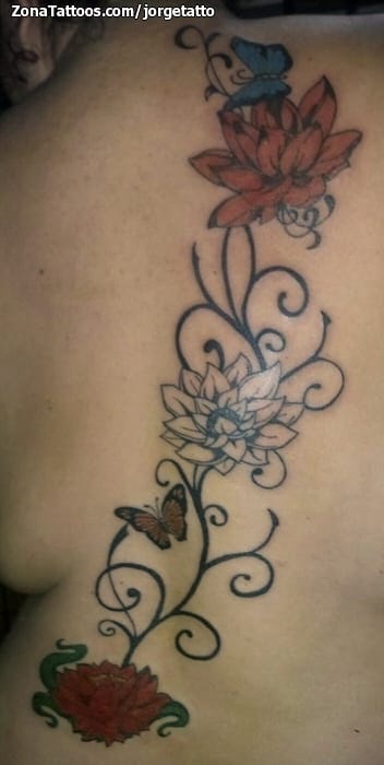 Foto de tatuaje Mariposas, Lotos, Espalda