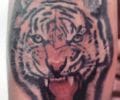 Tatuaje de JhonyGiraldo