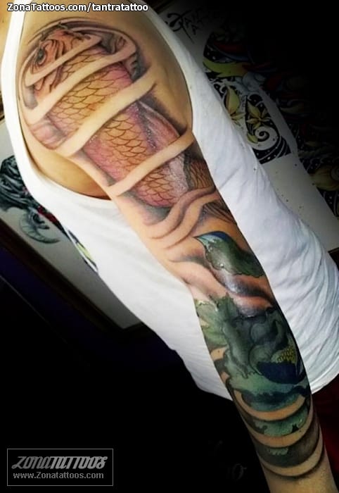 Foto de tatuaje Mangas, Brazo, Koi