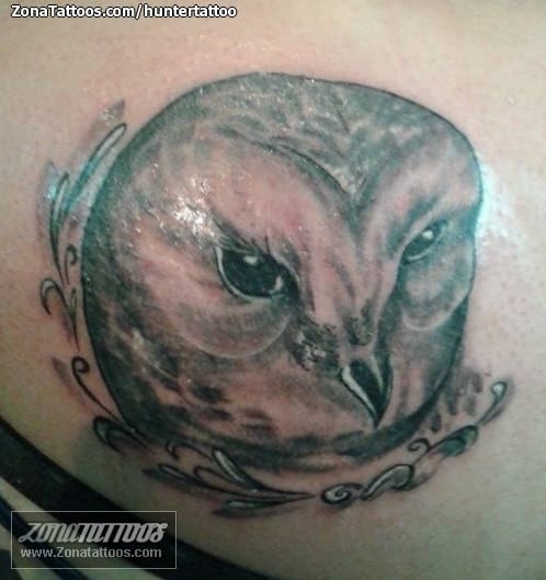 Tattoo photo Owls, Birds, Animals