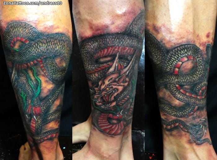 Foto de tatuaje Dragones, Orientales