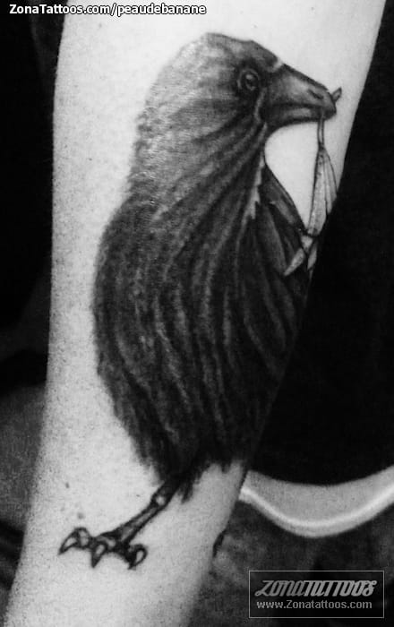 Foto de tatuaje Cuervos, Aves, Animales