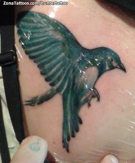 Foto de tatuaje Aves, Animales