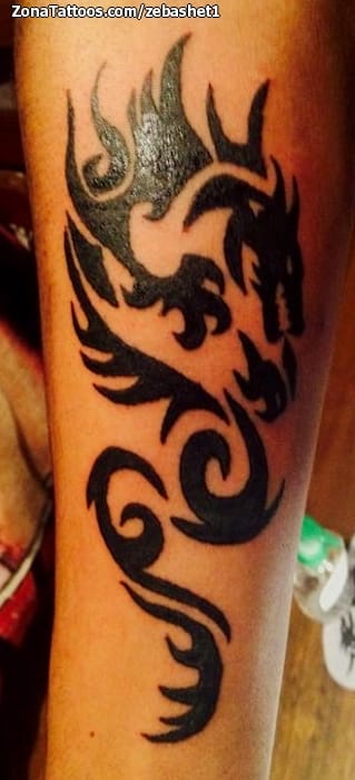 Foto de tatuaje Tribales, Dragones, Fantasía