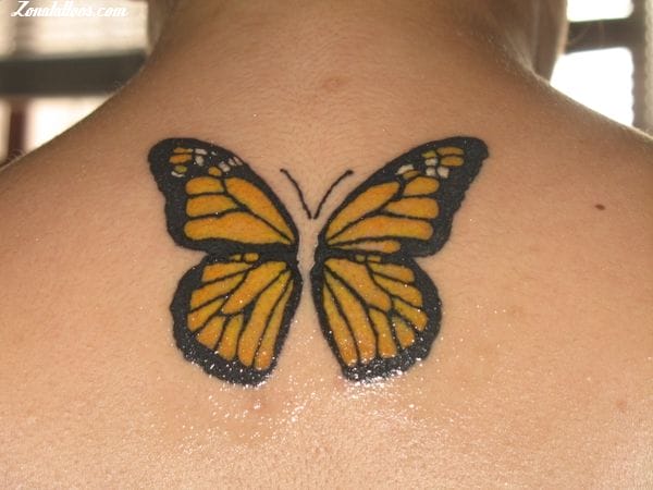 Tattoo photo Butterflies, Insects