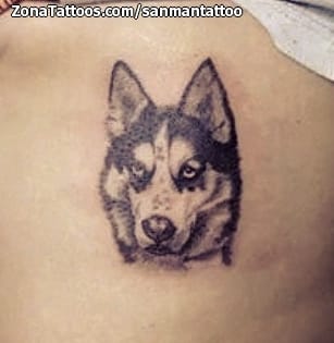 Tattoo photo Dogs, Animals