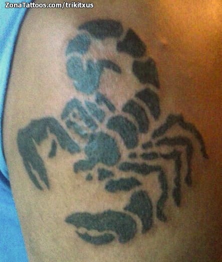 Tattoo photo Scorpions, Insects