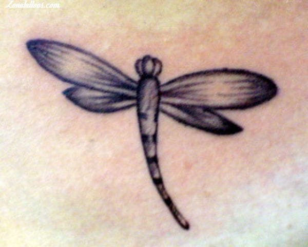 Foto de tatuaje Insectos, Libélulas