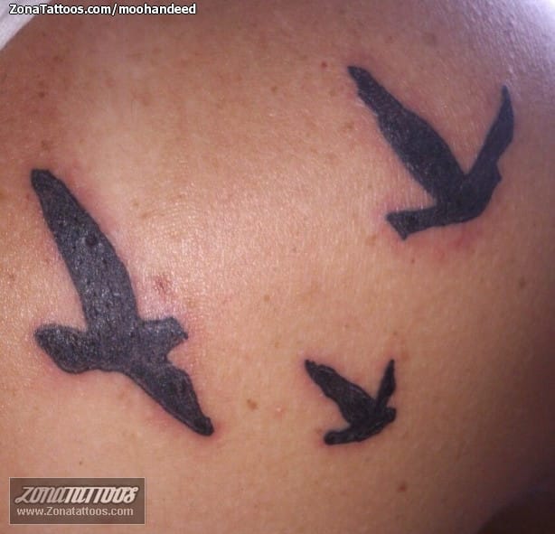 Tattoo photo Birds, Animals