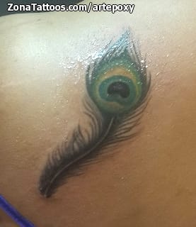 Foto de tatuaje Plumas