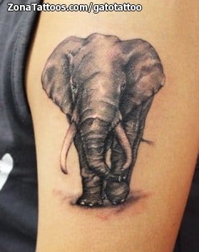 Foto de tatuaje Elefantes, Animales