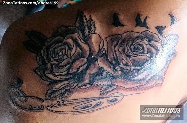 Tattoo photo Roses, Flowers, Shoulder blade