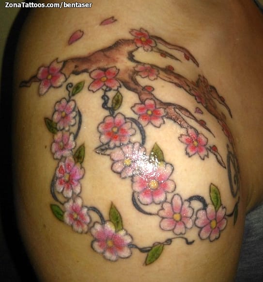 Foto de tatuaje Flores, Hombro, Árboles