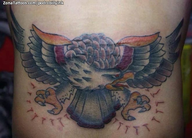 Foto de tatuaje Águilas, Aves, Animales