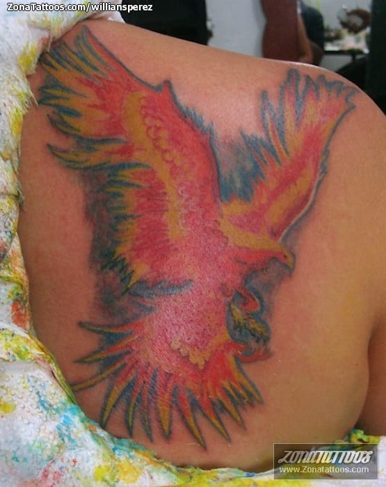 Tattoo photo Phoenix, Fantasy, Shoulder blade