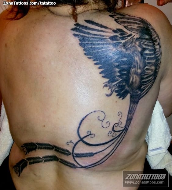 Tattoo photo Phoenix, Back, Fantasy