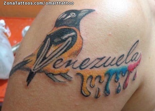 Foto de tatuaje Aves, Venezuela, Animales